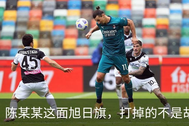 陈某某这面旭日旗，打掉的不是胡锡进的面子，是一层中邪论的滤镜